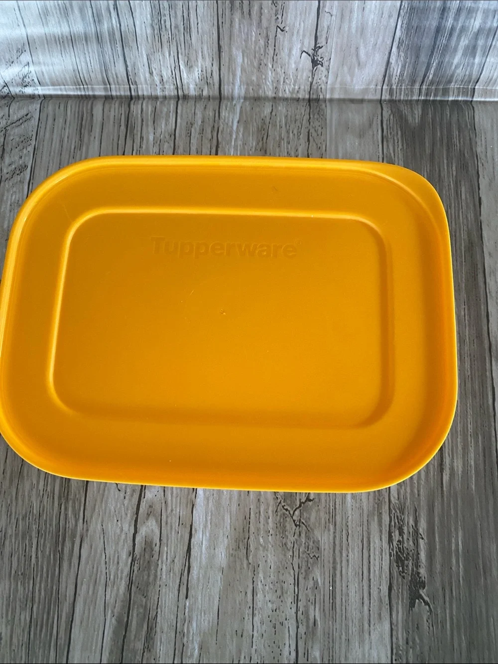 TUPPERWARE FREEZER MATE PLUS— SMALL